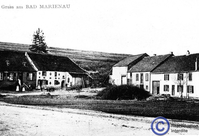 Marienau