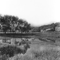 Marienau